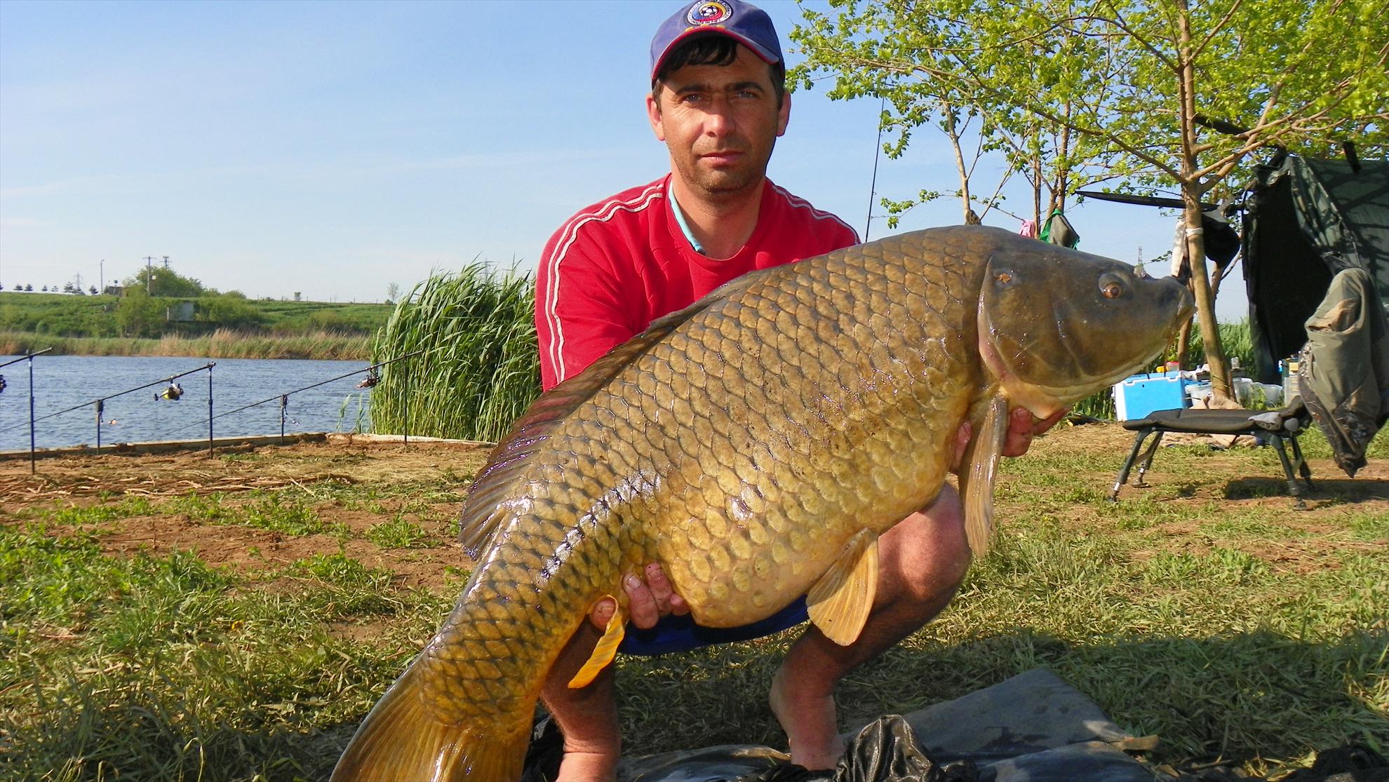 Crapmania (2) - 2011 - 1001169.JPG